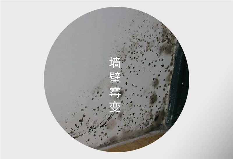 45ed0feccc65f5c125d06bdac4b23069_副本.jpg